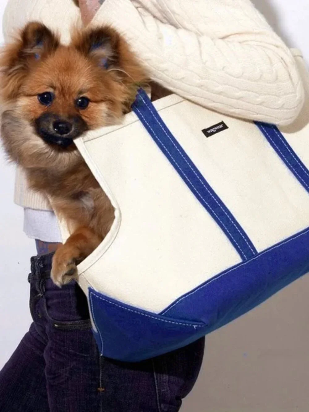 WagWear Boat Canvas Carrier Natural Navy Classic Dog Tote Shoulder Bag 12 lb Pet